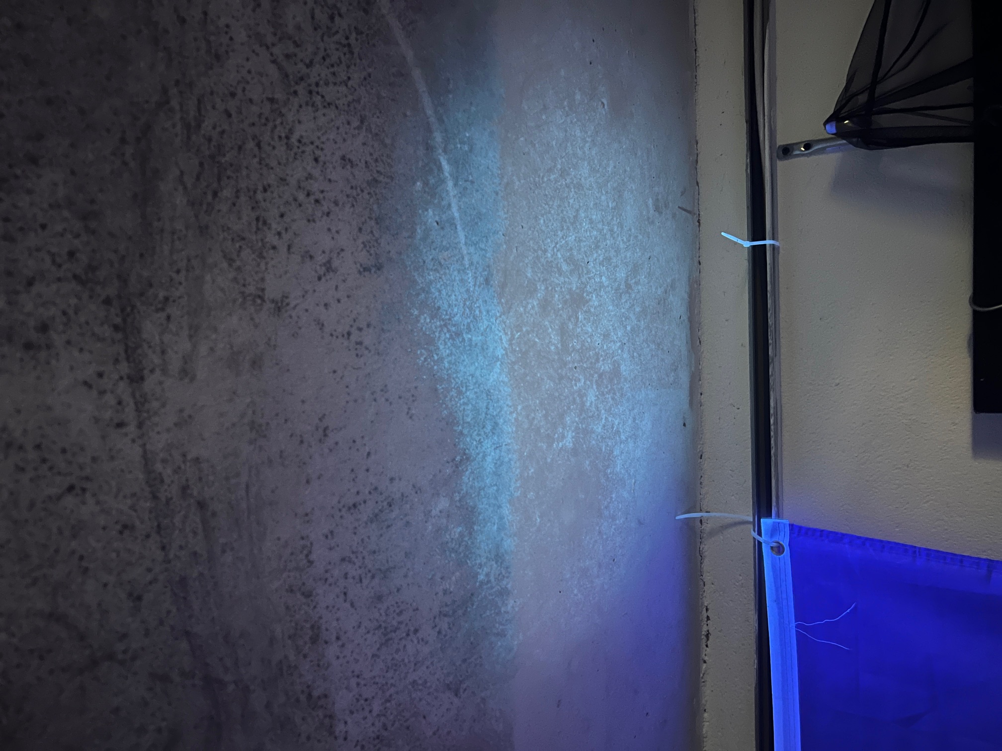 Feuchtigkeit und Schimmel sichtbar durch UV-Lampe